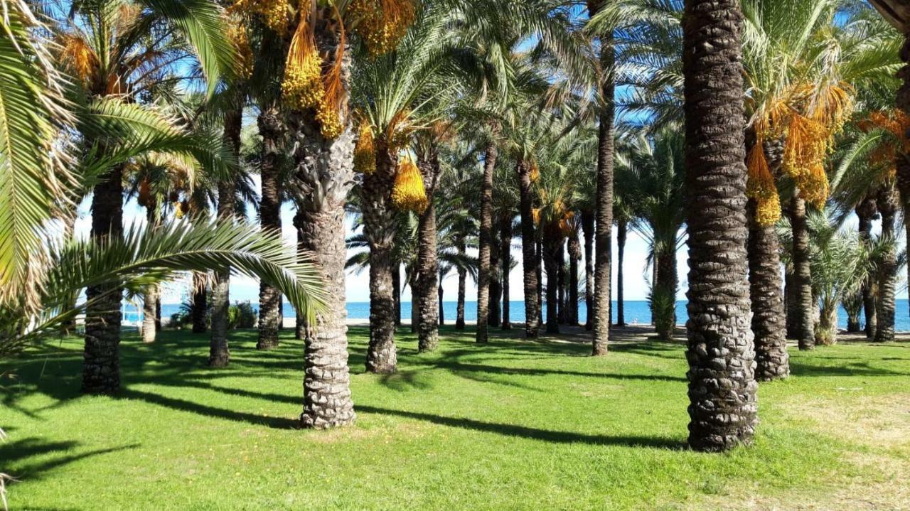 טורמולינוס Las Plumas Beach מראה חיצוני תמונה